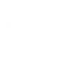 fast-delivery fast-delivery